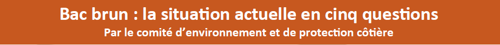 Bannière bac brun